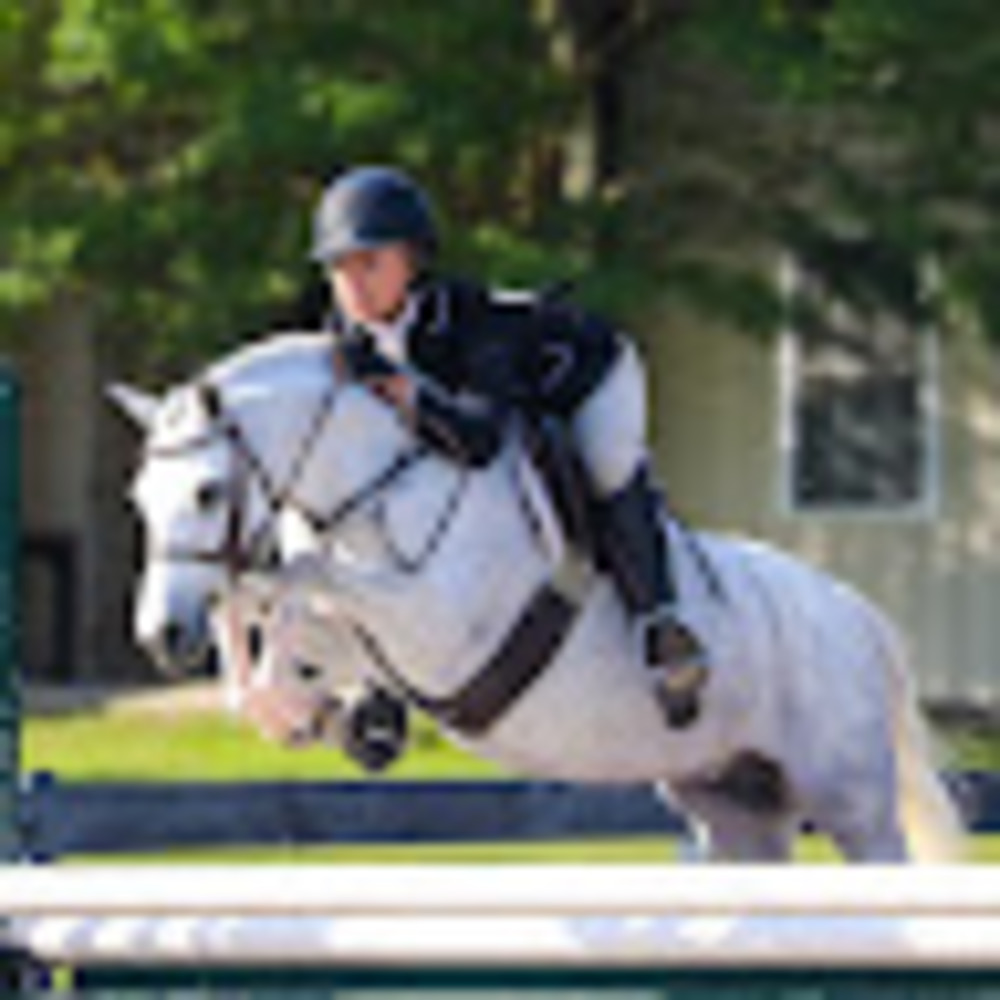 Meet your Posher, Jackson